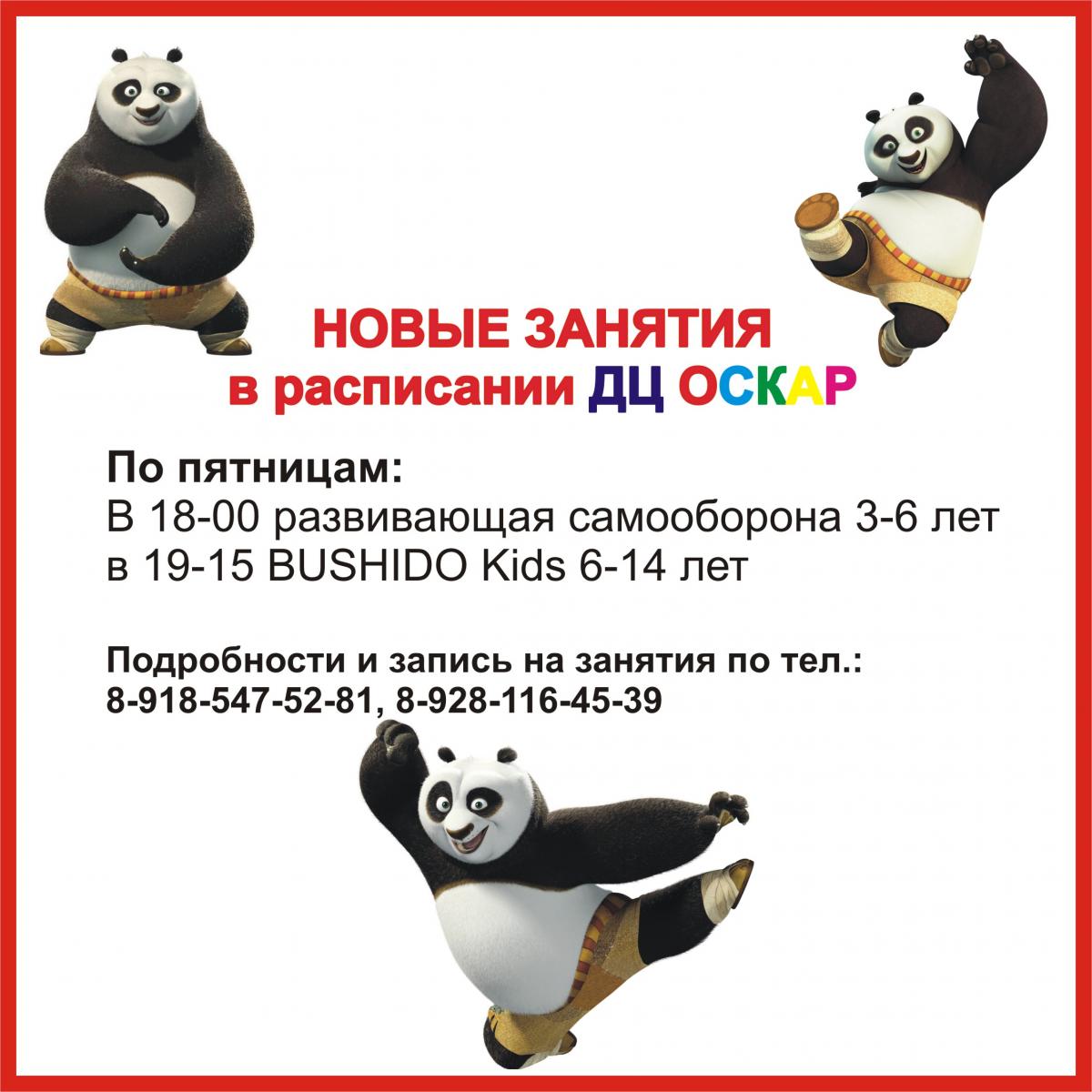 РАЗВИВАЮЩАЯ САМООБОРОНА