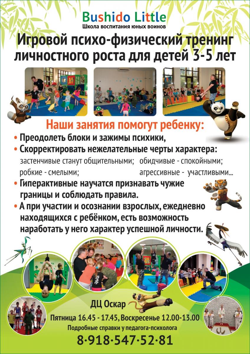 БУШИДОКИДС дети от 3-х лет
